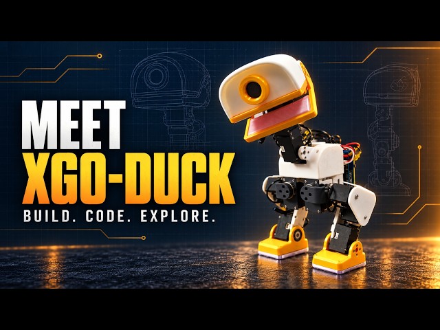Meet XGO-Duck 🦆 | A Robot You Can Build, Code & Explore