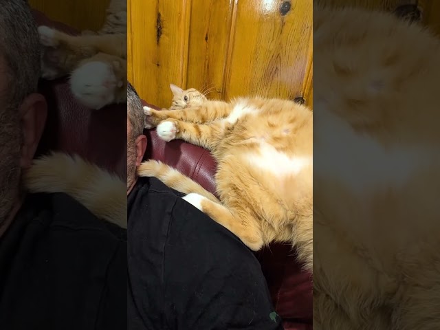 😺😺😺
