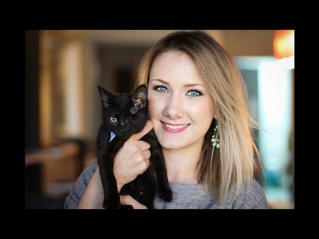 155: Hadyn Hilton, Java Cats Cafe: Want To Start Your Own Cat Café?