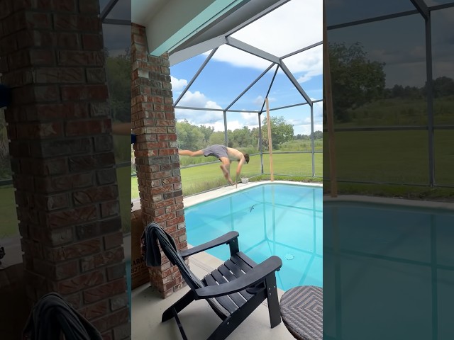 A GATOR GOT IN MY POOL. 😳
