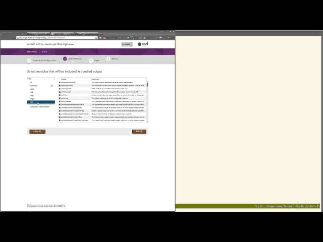 Hacking the ArcGIS API for JavaScript Web Optimizer