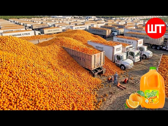 How Orange Juice Is Really Made ➤ Food Factory