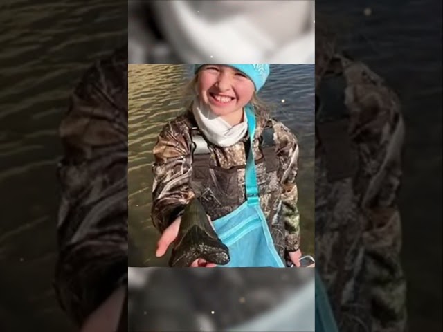 Young Fossil Enthusiast Discovers Rare Megalodon Tooth on Maryland's Shores
