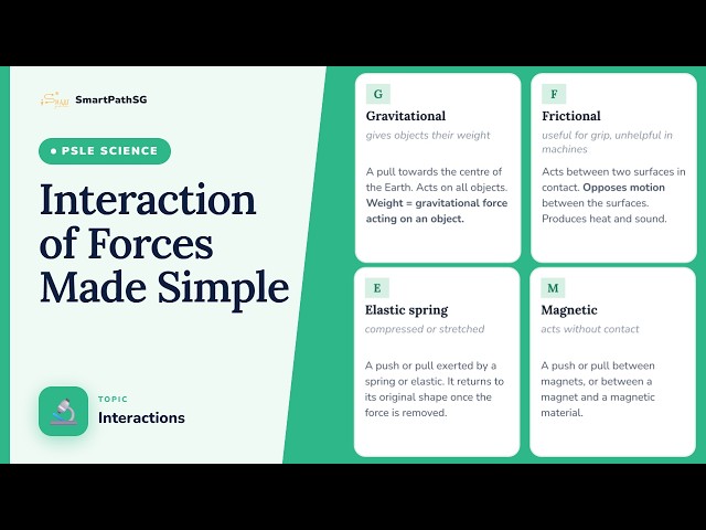 PSLE Science: Forces Explained | 4 Types of Force, 6 Effects + 7 Exam Questions