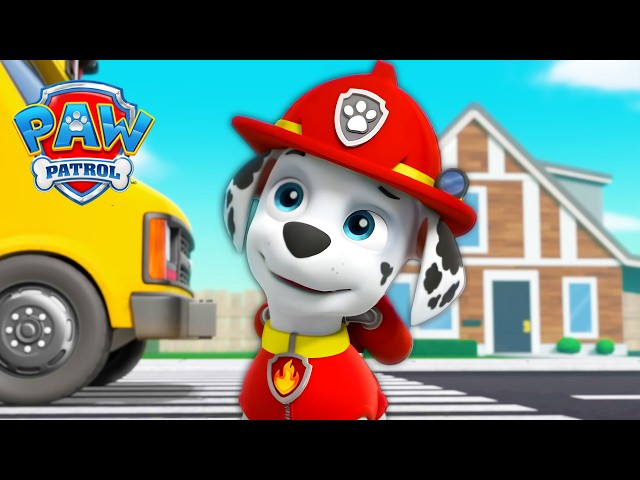 Pups Save a School Bus! 🚌 - PAW Patrol - Cartoons for Kids