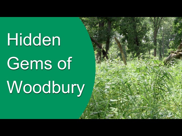 Hidden Gems of Woodbury