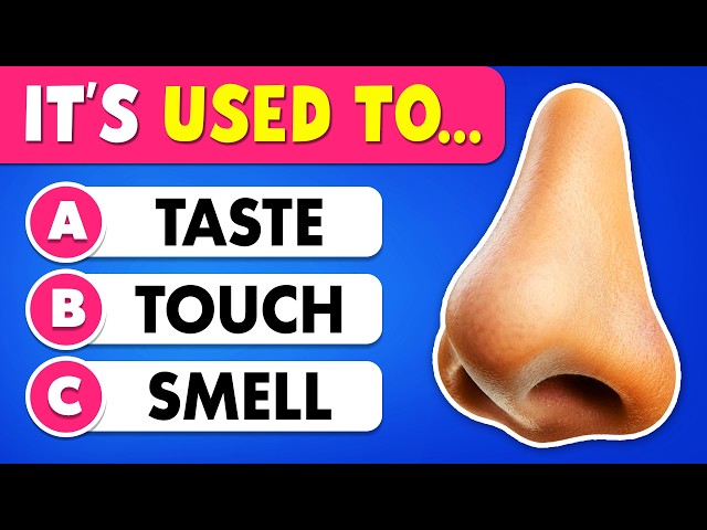 Can You Pass This General Knowledge Quiz? 👦🧠 50 Questions Everyone Should Know! 🙂