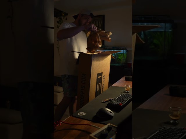 Unboxing the internets favourite guitar