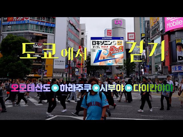 도쿄에서 하루 2만보 걷기 (오모테산도 | 하라주쿠 | 산리오 큐트 큐브 | 리얼 맥코이 | 시부야 | 시부야 스크럼블 교차로 | 미야시타 파크 | 다이칸야마 | 포레스트게이트 )