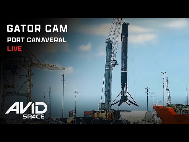 SpaceX Live 24/7 At Port Canaveral Live Gator's Portside