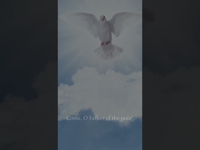 Come, O Holy Spirit, Come | Traditional Catholic Hymn (Ode to Joy) #shorts #holyspirit #catholic