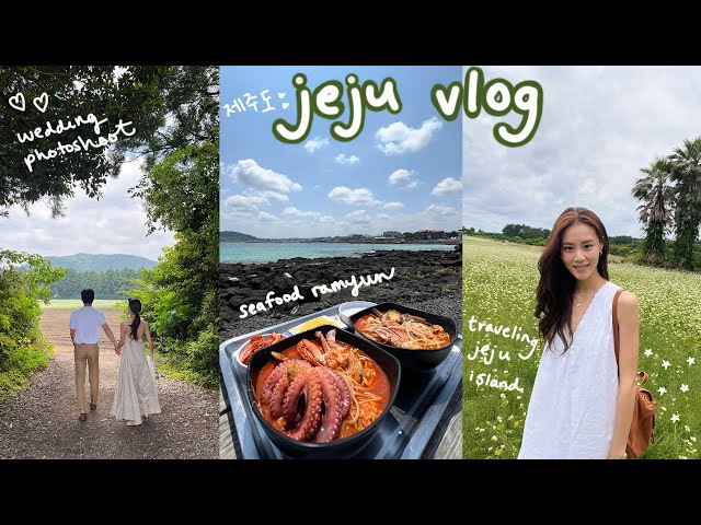 jeju vlog 🍊🌴 self-wedding photoshoot, jeju home tours, local food, aesthetic cafes, cute shops