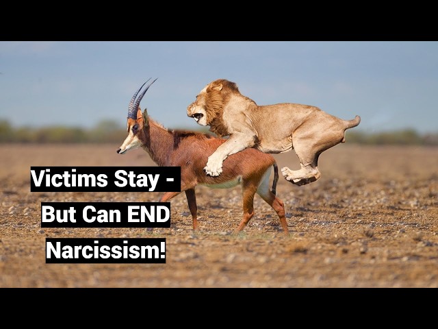 Victims Stay - But Can END Narcissism! (Predator-Prey Model and Buridan’s Ass)
