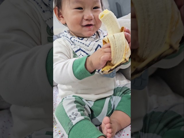 Munching away a whole banana #blw #eatingbanana #banana
