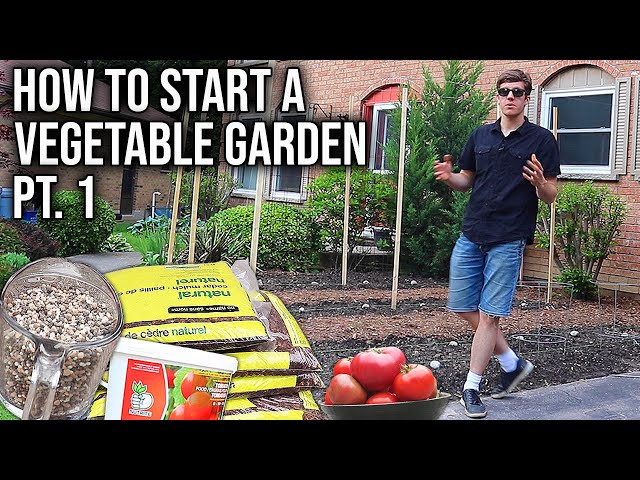 How to Start a Vegetable Garden Pt. 1 | Site Selection, Soil Prep, Fertilizing, Walkways, Trellises