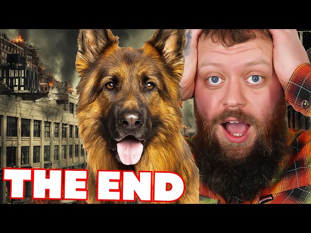 Best Dog Breed To Help Survive The Apocalypse