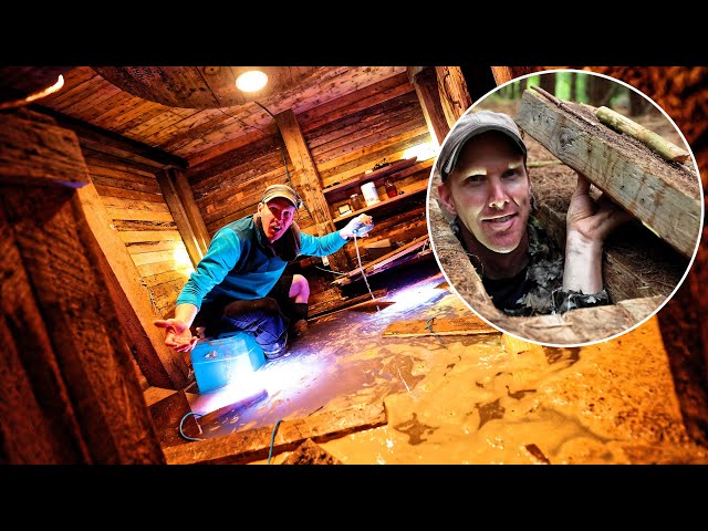 Oh NO! The Japanese Spider Hole is FLOODED!!! (can I save it?) - Emergency Measures