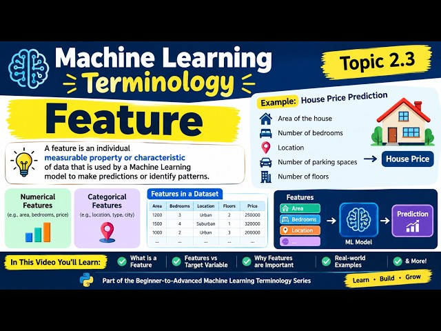 Machine Learning Terminology: What is a Feature? | Feature in ML Explained for Beginners |