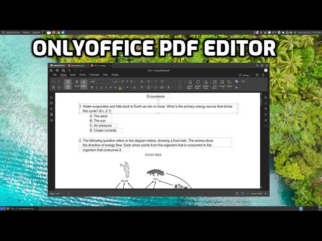 ONLYOFFICE PDF Editor - Edit PDF Files for Free
