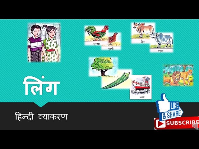 लिंग हिन्दी व्याकरण (कक्षा २ , कक्षा ३ व कक्षा ४ )