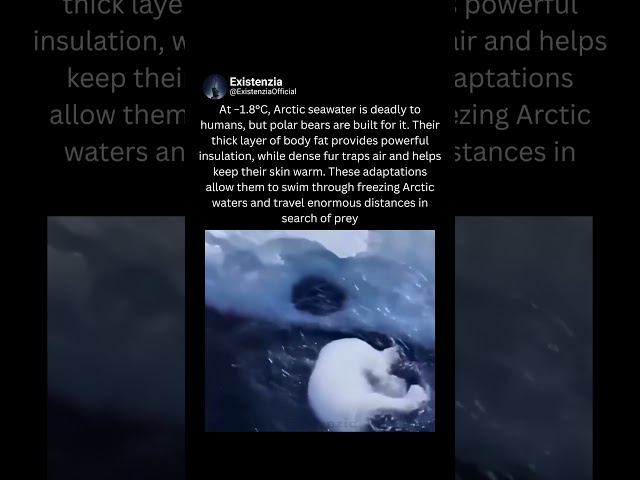 Built to Survive the Arctic’s Deadliest Waters