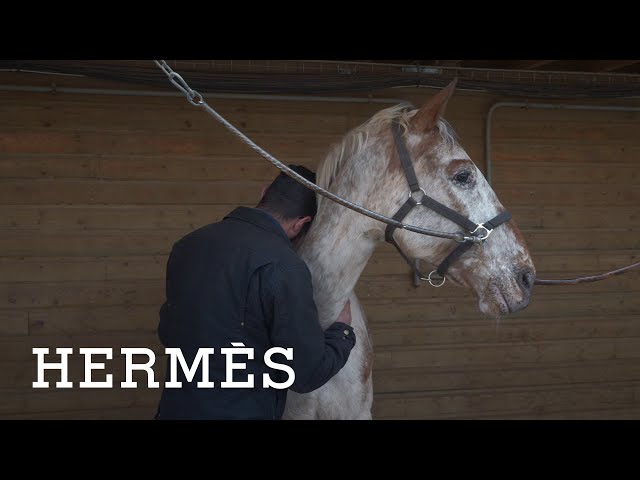 Hermès teams up with Equiphoria in La Canourgue | Hermès Footsteps Across The World