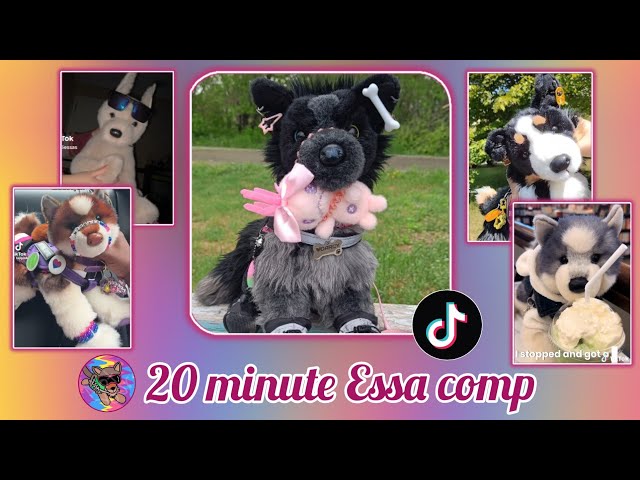 ESSA comp to watch with your ESSA! || 20 minute ESSA comp || Credit to all orginal owners