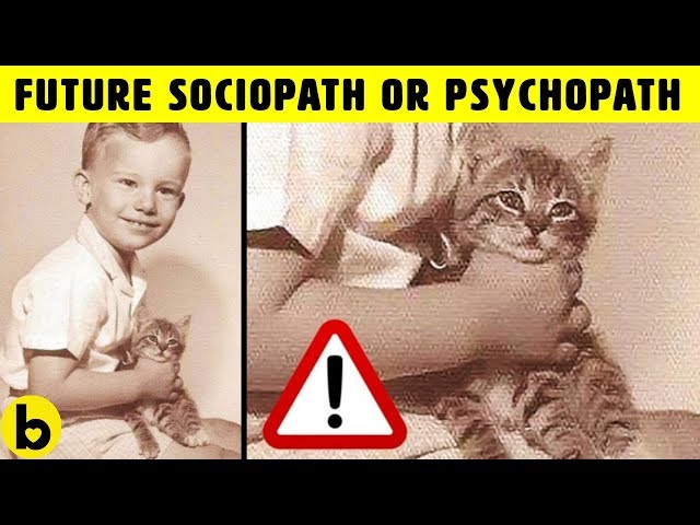 5 Signs of a Future Sociopath or Psychopath