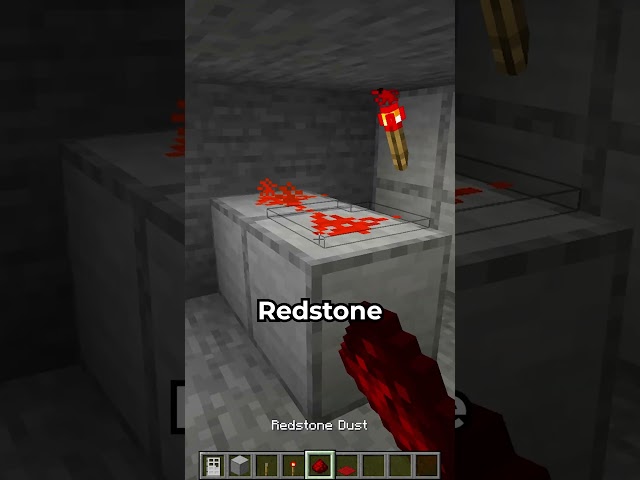 Making a Password Door in Minecraft ?⛏️💎