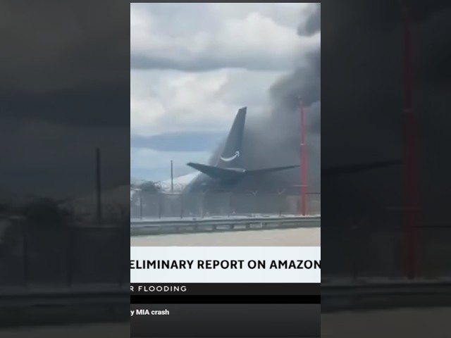 "Pilots forgot to brake"