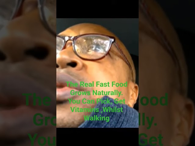 The Real Fast Food You Can Pick As You Are Walking