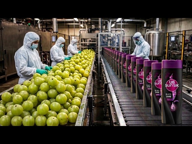 Sunsilk Black Shine: From Amla Orchards to Factory Filling Line | Full Process Tour