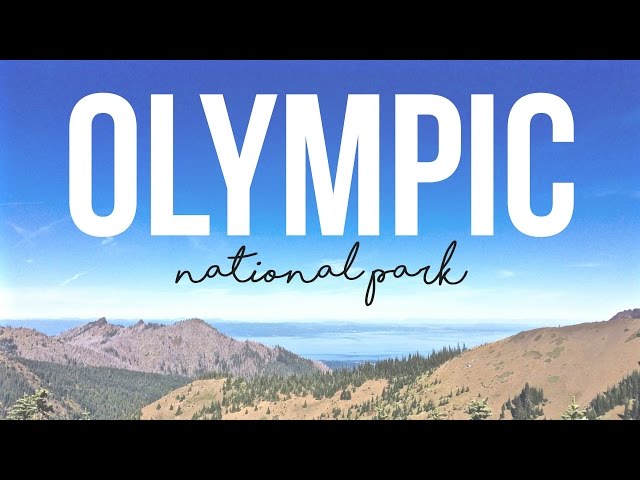 Exploring Olympic National Park & Hurricane Ridge - a Drivin' & Vibin' Travel Vlog