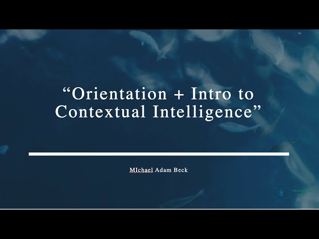 Orientation to Contextual Intelligence