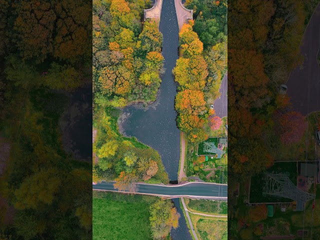 Insane DJI Mavic 4 Pro grading capability 🤘🏽 #djironin #djisdk #lowangleshot