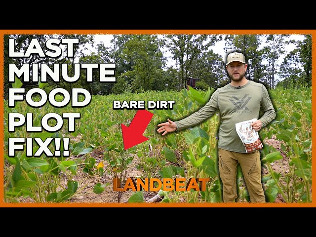 Last Minute Fix For Your Soybean Food Plots!