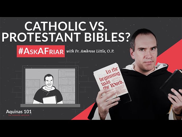 Why are Catholic Bibles 'bigger' than Protestant Bibles? #AskAFriar (Aquinas 101)