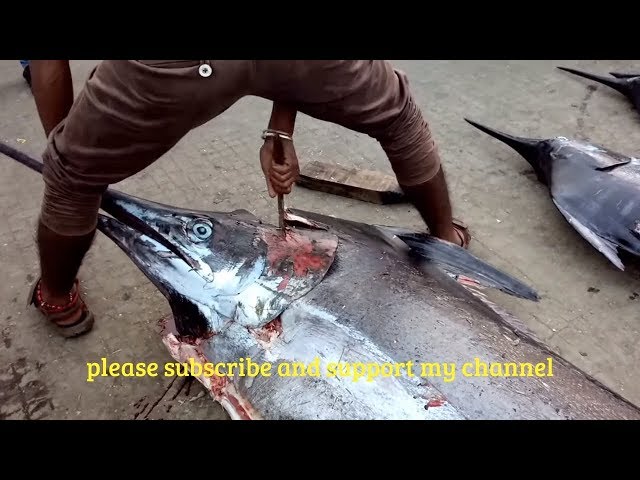 Worlds Largest Fish Chopping In 5 Minuts - Ultimate Fish Cutting Video 2018