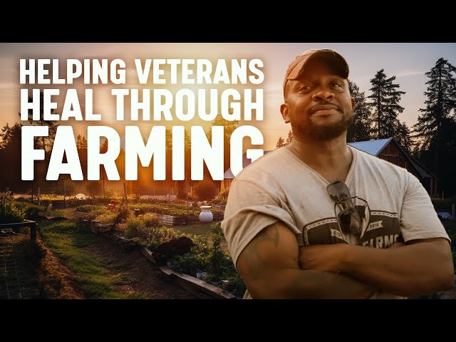 Helping Veterans Heal Through Farming