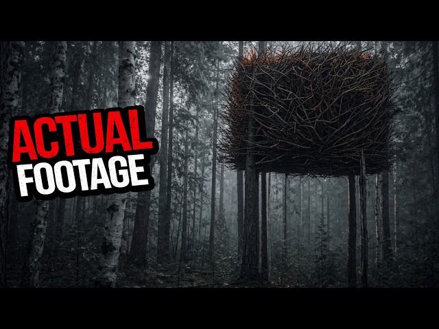 The Most Chilling Trail Cam Captures We've Ever Seen
