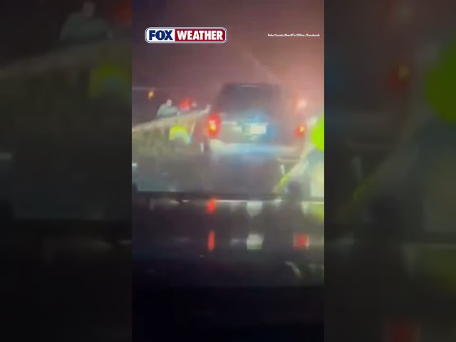 Caught on Camera: Tree Falls on Car In Alabama as Isaias Slammed the Southeast
