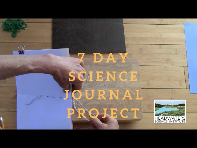 Weekly Science Challenge: 7-day science journal project