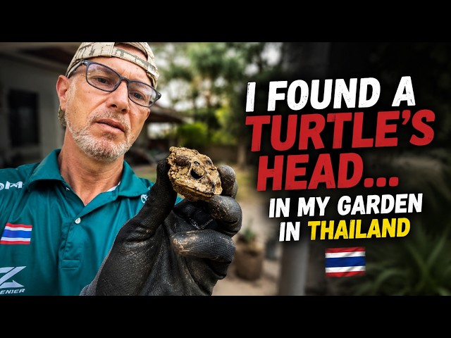 What The Hell is THIS Doing in My Garden in Thailand?