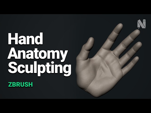 How to Sculpt Hand Anatomy in ZBrush | Flesh, Fingers & Forms