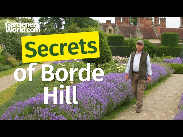 A plantsman’s PARADISE 🌿 Borde Hill Garden Tour
