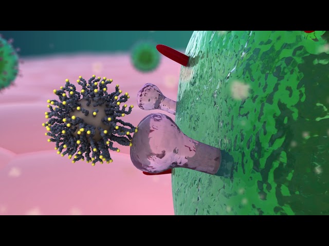 Viricidal nanoparticle disruption of viruses