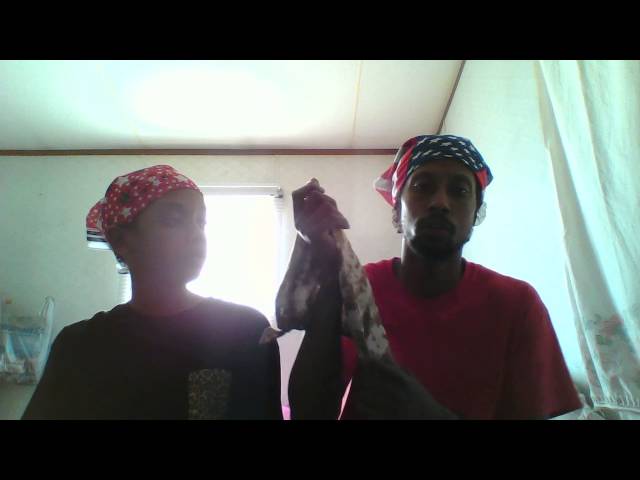 All lives matter by Twist P Feat Awesome Money aka Ak Twist