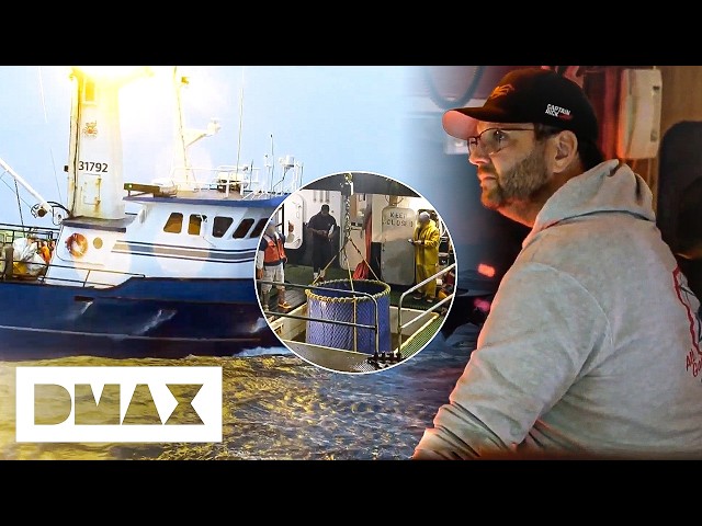 Brutal Accident And Terrible Catch Threaten Crab Fishing Season | Deadliest Catch