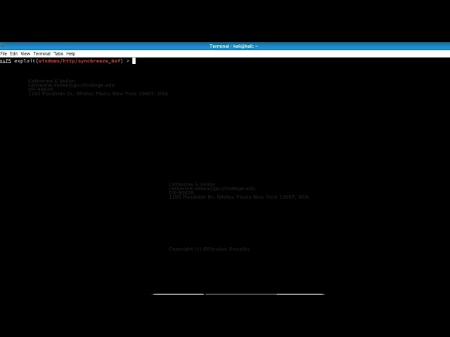 Offensive Security Official Video Leak Exploit Modules 17
