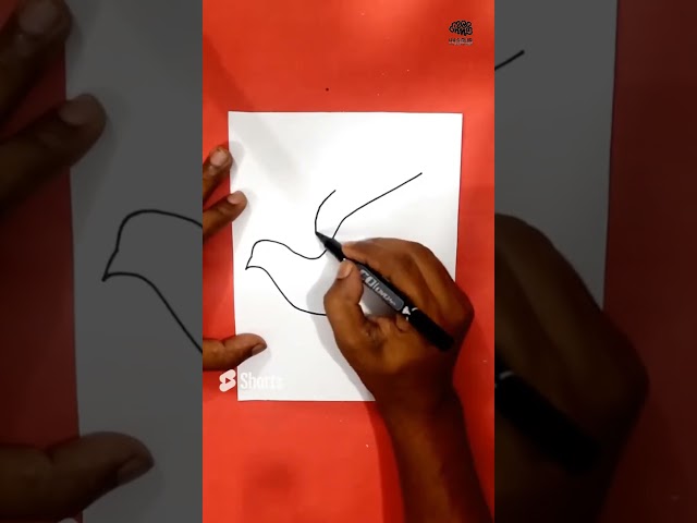 How to draw a Dove